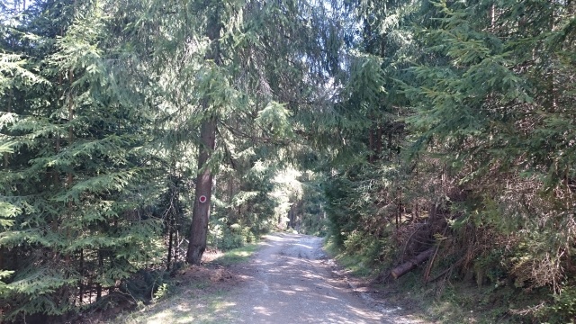 trail in arieseni romania