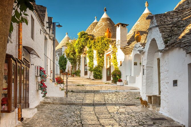 3b - Visit Alberobello Monopoli Polignano Private tour